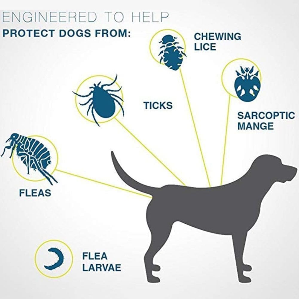 Flea and Tick Collar for Dogs and Cats | 8 Months of Protection