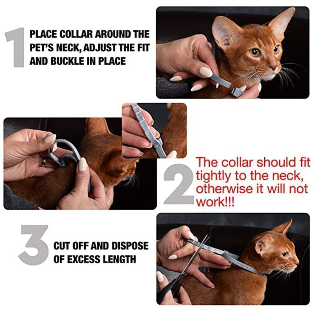 Flea and Tick Collar for Dogs and Cats | 8 Months of Protection