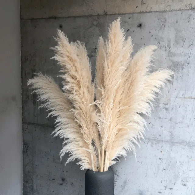 Bohemian Dried Pampas Grass for Home Decoration