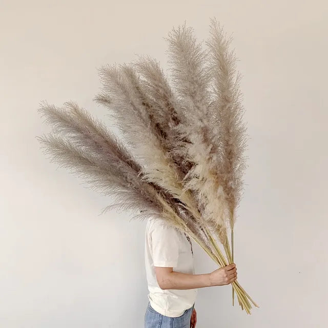 Bohemian Dried Pampas Grass for Home Decoration