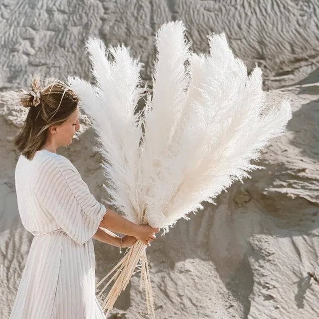 Bohemian Dried Pampas Grass for Home Decoration