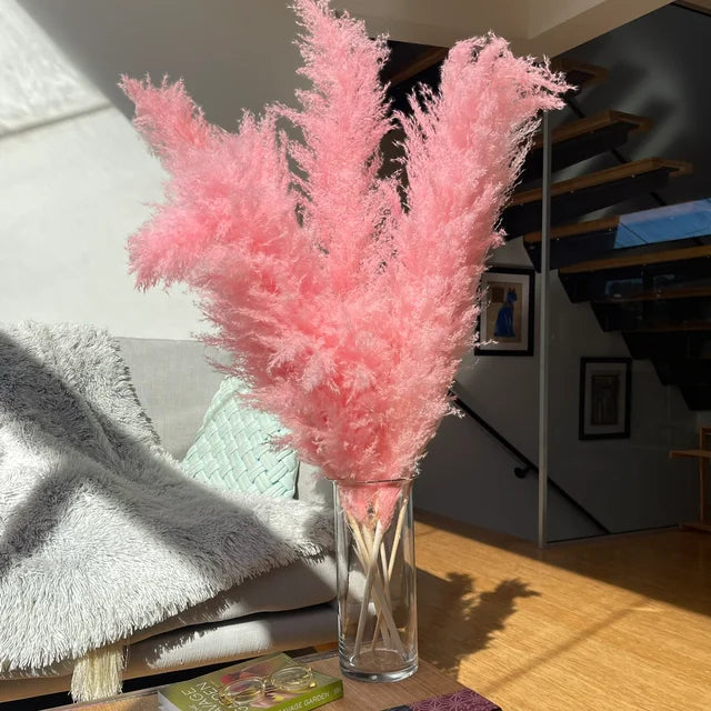 Bohemian Dried Pampas Grass for Home Decoration
