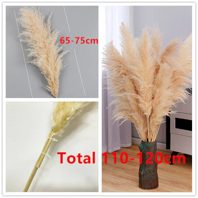 Bohemian Dried Pampas Grass for Home Decoration