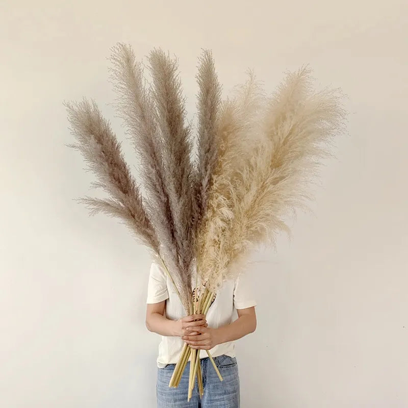 Bohemian Dried Pampas Grass for Home Decoration