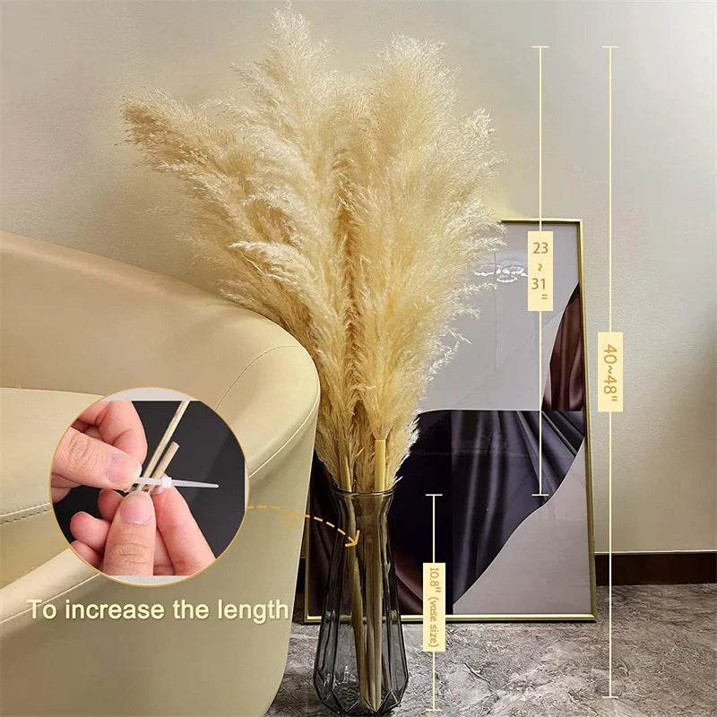 Bohemian Dried Pampas Grass for Home Decoration