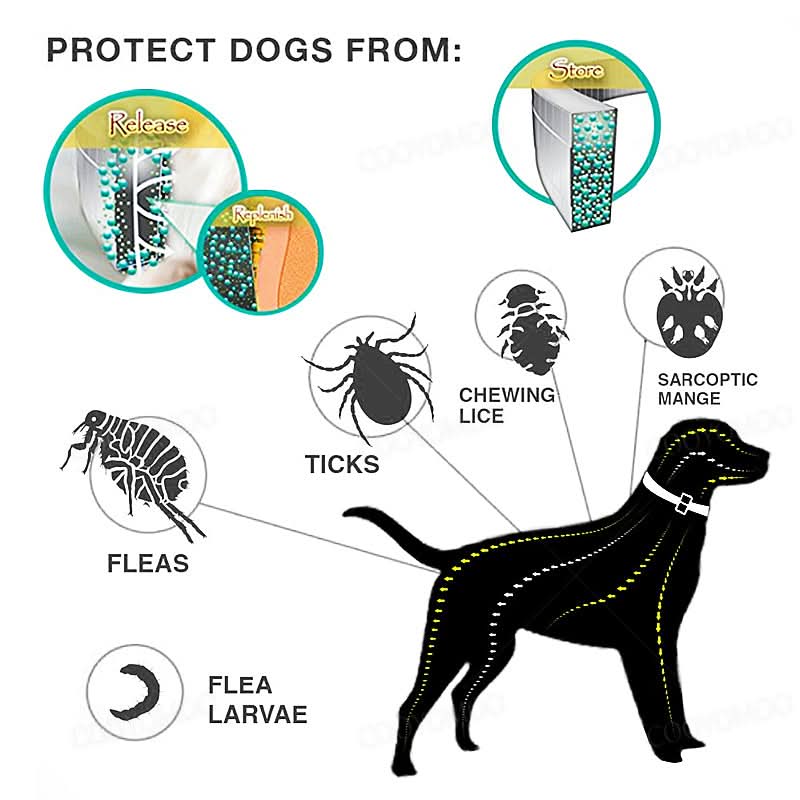 Flea and Tick Prevention Collar