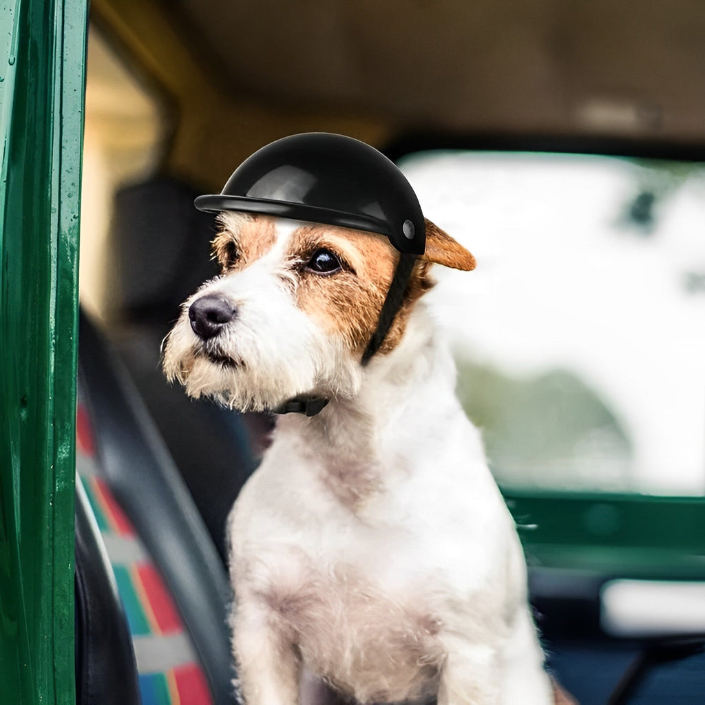 Pet Motorcycle Helmet and Goggles for Secure Riding