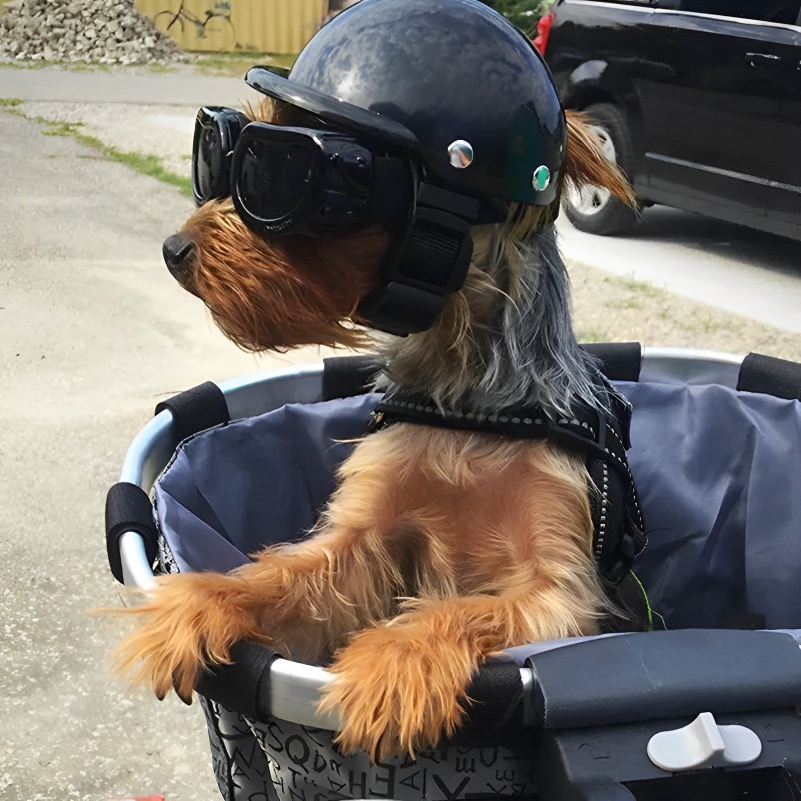 Pet Motorcycle Helmet and Goggles for Secure Riding