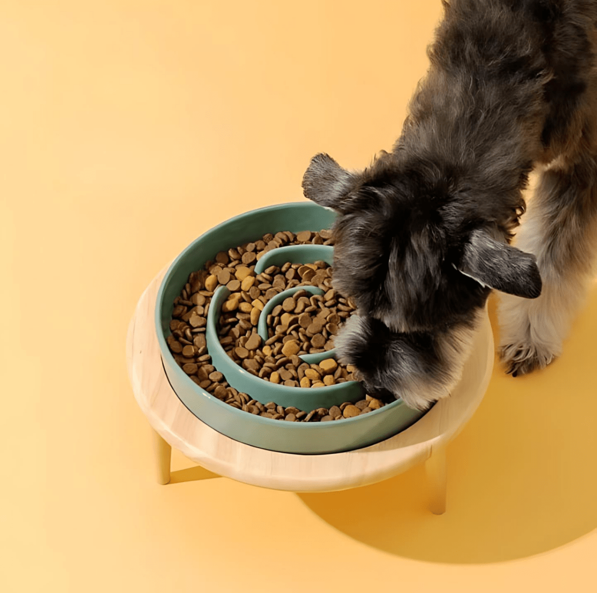 Stylish Handcrafted Pet Food Bowl