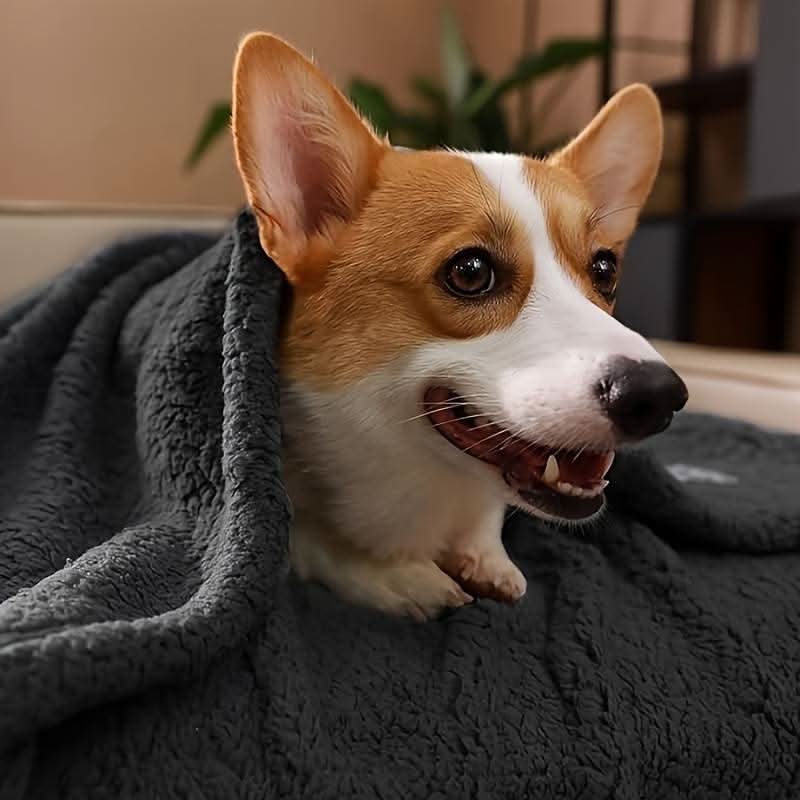 Luxury Fleece Blanket for Pets