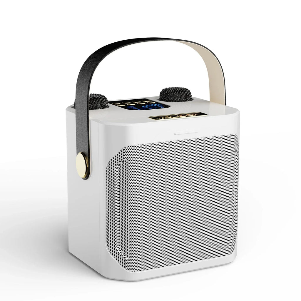 Premium Portable Karaoke Bluetooth Speaker – 360° Stereo Surround Wireless Subwoofer with Dual Microphones
