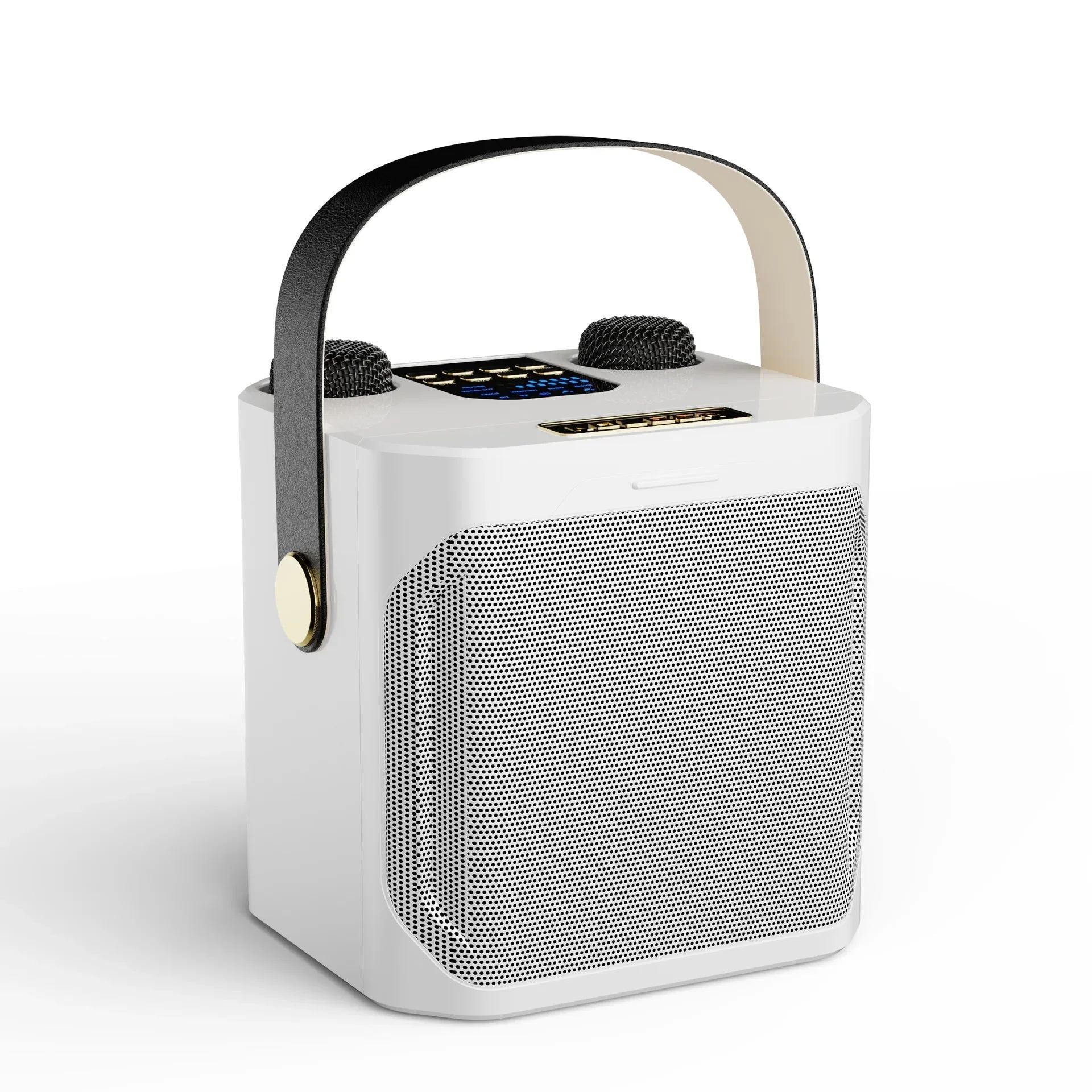 Premium Portable Karaoke Bluetooth Speaker – 360° Stereo Surround Wireless Subwoofer with Dual Microphones