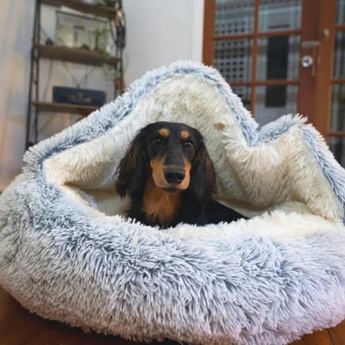 Cozy Dog Bed for Stress Relief and Relaxation for Anxious Pets