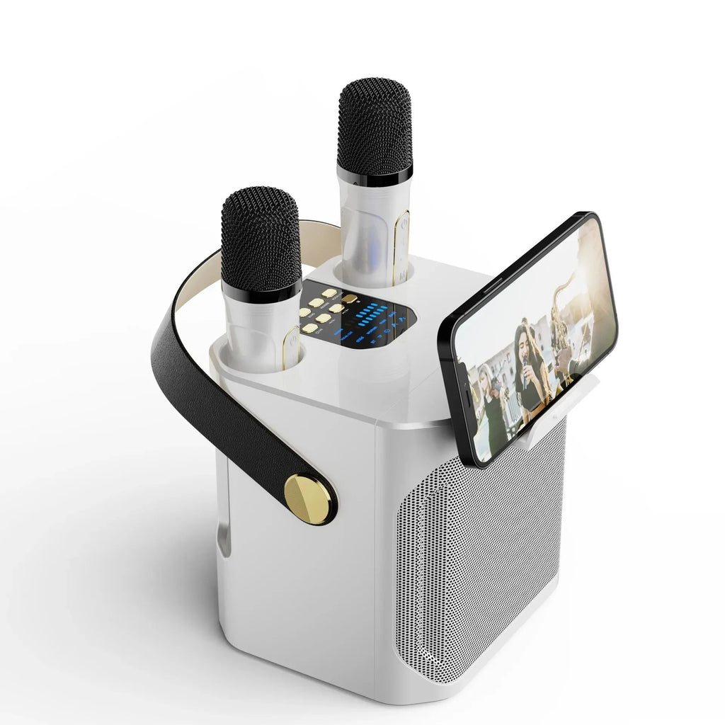 Premium Portable Karaoke Bluetooth Speaker – 360° Stereo Surround Wireless Subwoofer with Dual Microphones