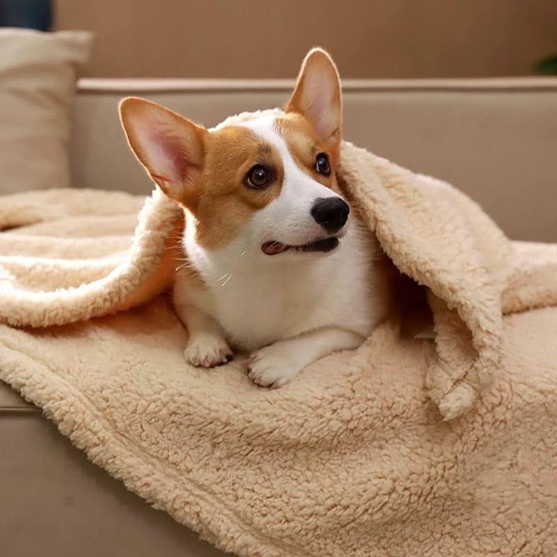 Luxury Fleece Blanket for Pets