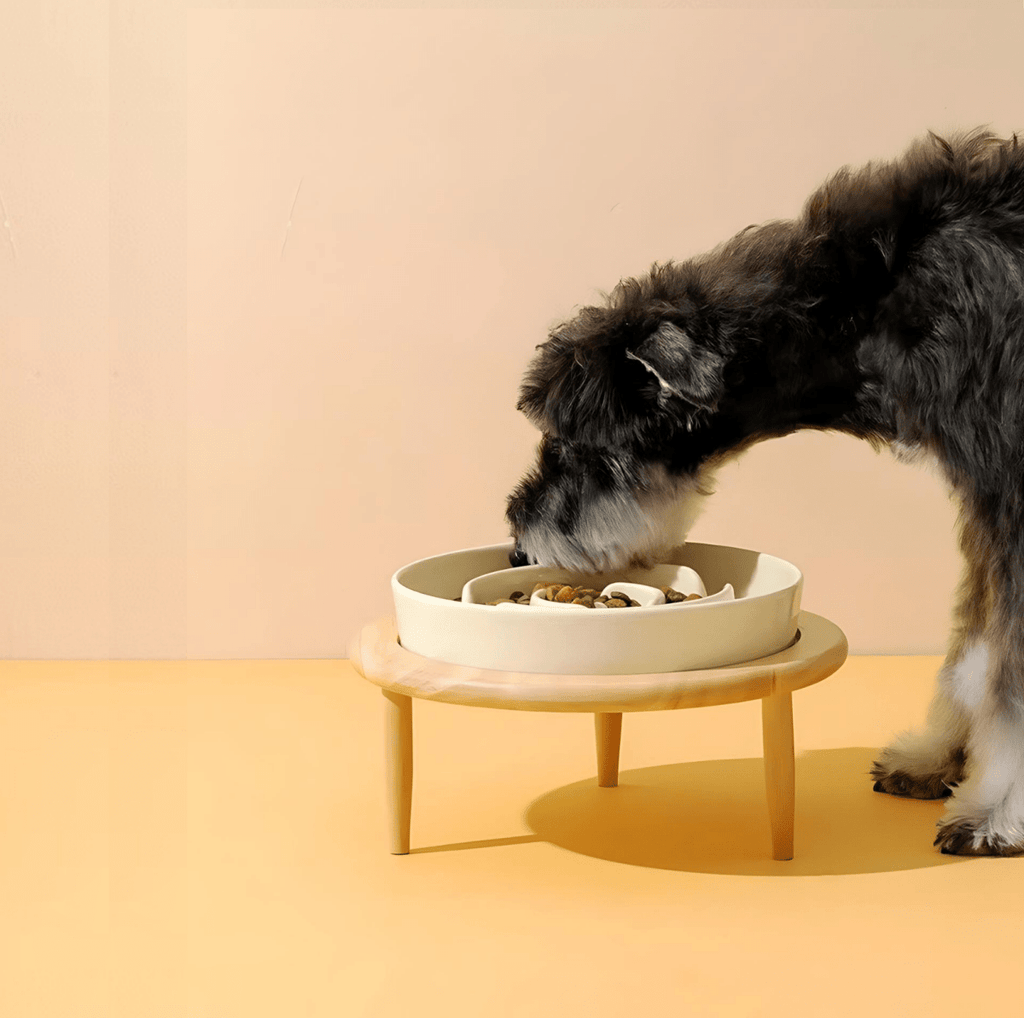 Stylish Handcrafted Pet Food Bowl