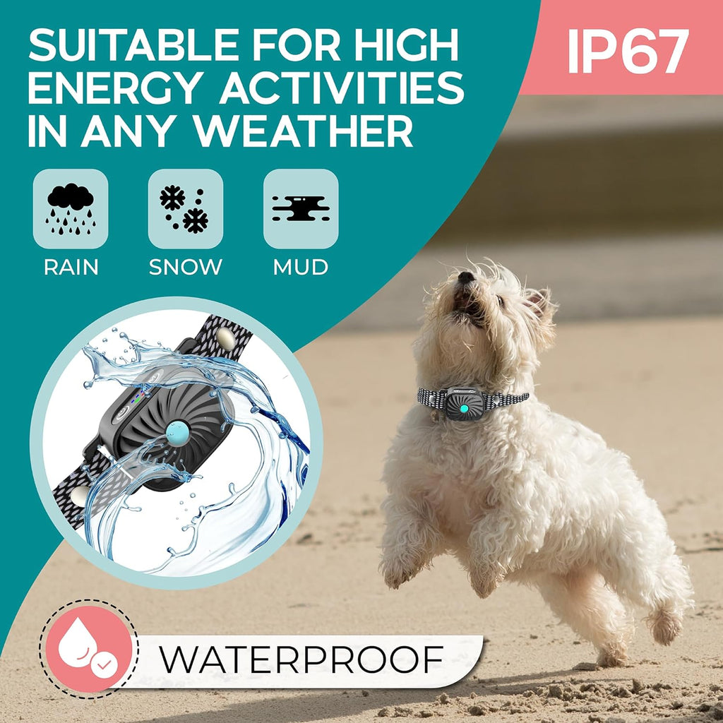 Small Dog Anti-Bark Collar | Sound & Vibration Features | IP67 Waterproof | Adjustable & Gentle Training Aid