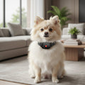 Soft Anti-Bark Collar with Sound and Vibration for Small Dogs