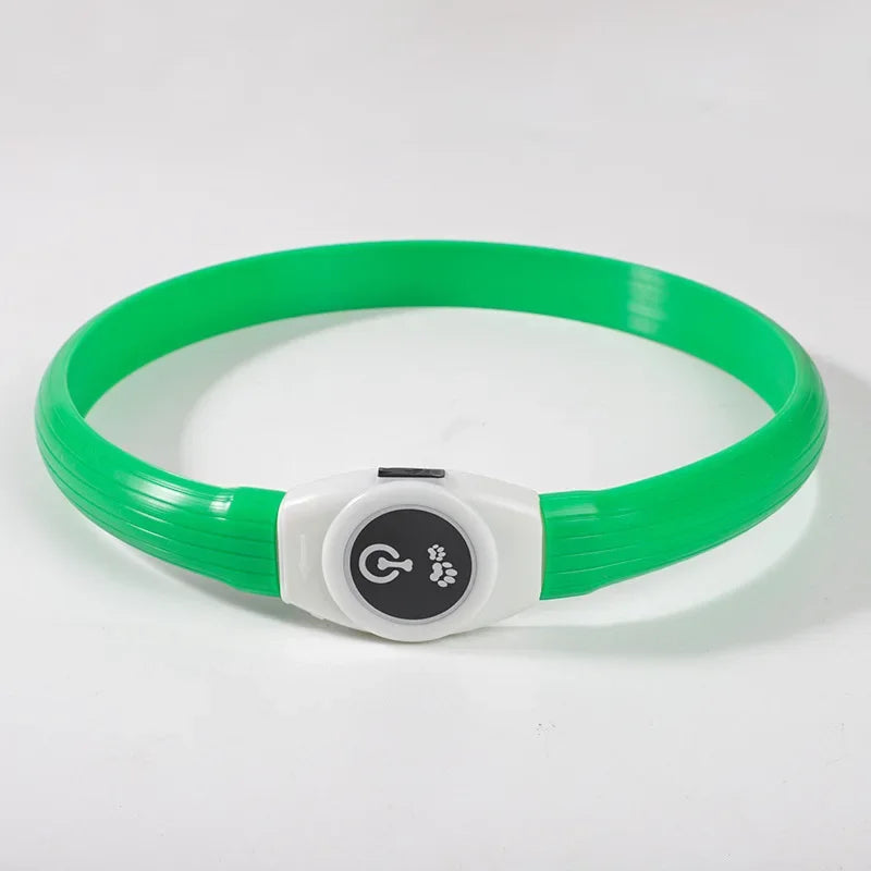 Illuminated Dog Collar for Safe Evening Walks