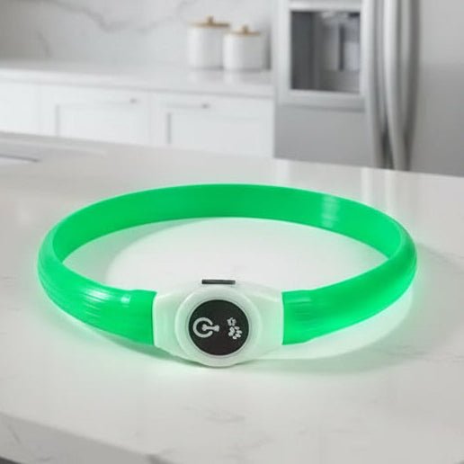 Illuminated Dog Collar for Safe Evening Walks