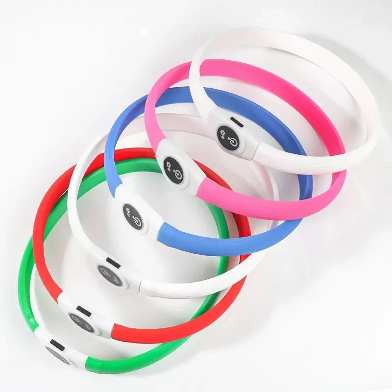 Illuminated Dog Collar for Safe Evening Walks