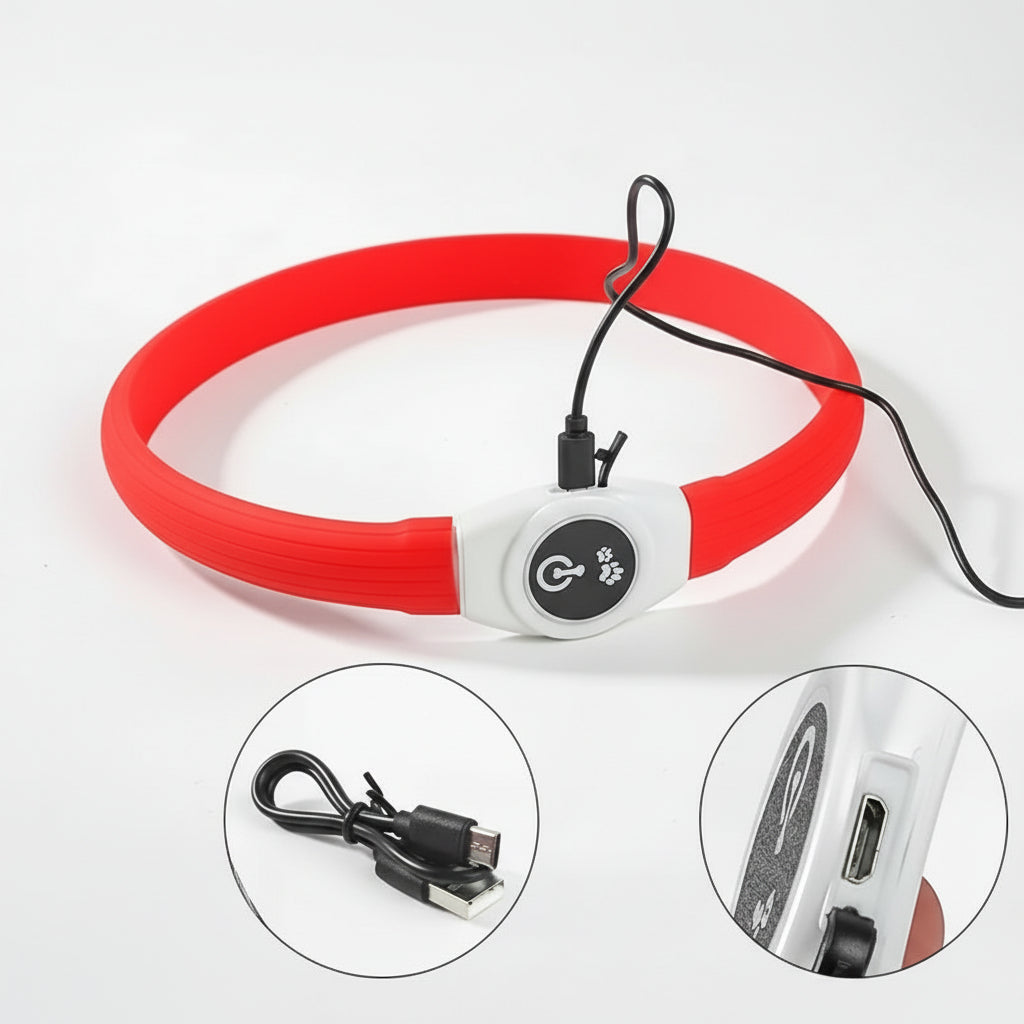 Illuminated Dog Collar for Safe Evening Walks