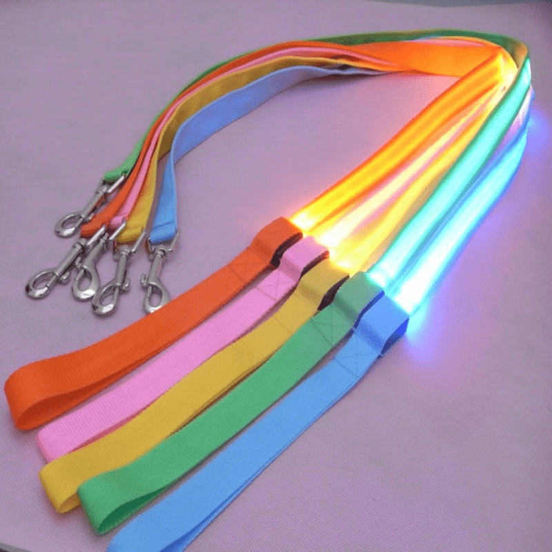 USB Rechargeable LED Dog Leash with Reflective Features