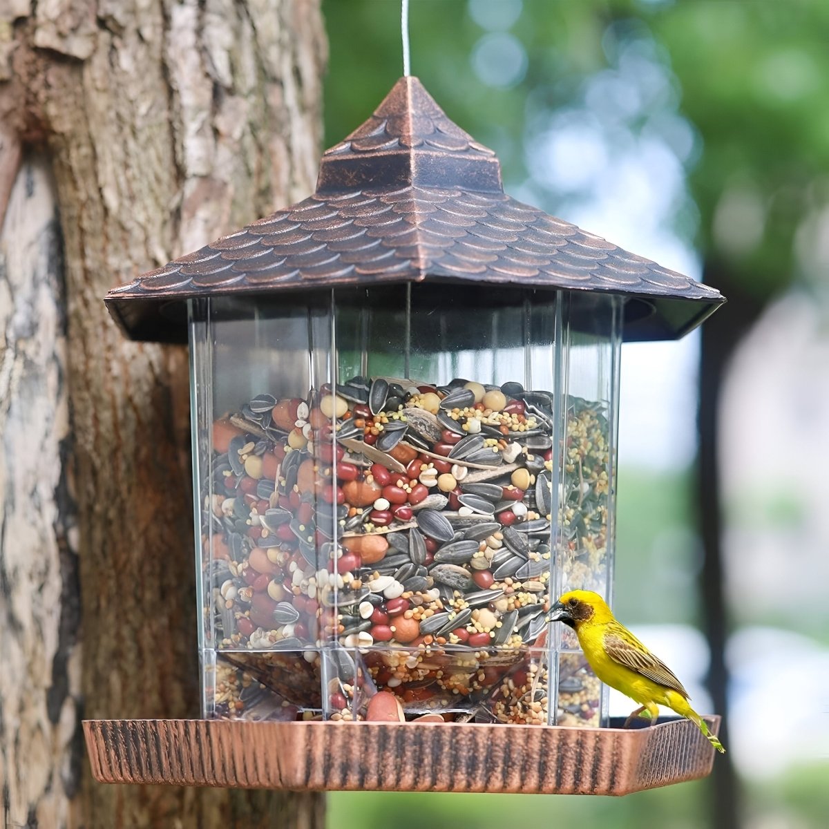 Stylish Copper-Style Bird Feeder for Durable Hanging Decor