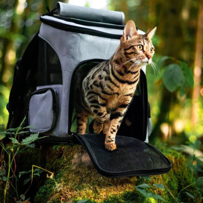 Cozy Cat Backpack with Transparent Viewing Window