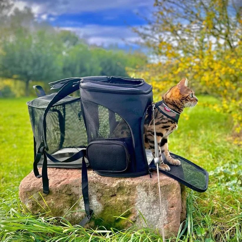 Cozy Cat Backpack with Transparent Viewing Window