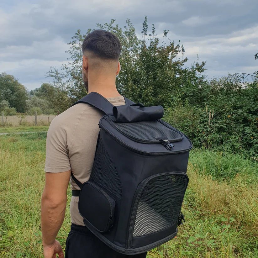 Cozy Cat Backpack with Transparent Viewing Window
