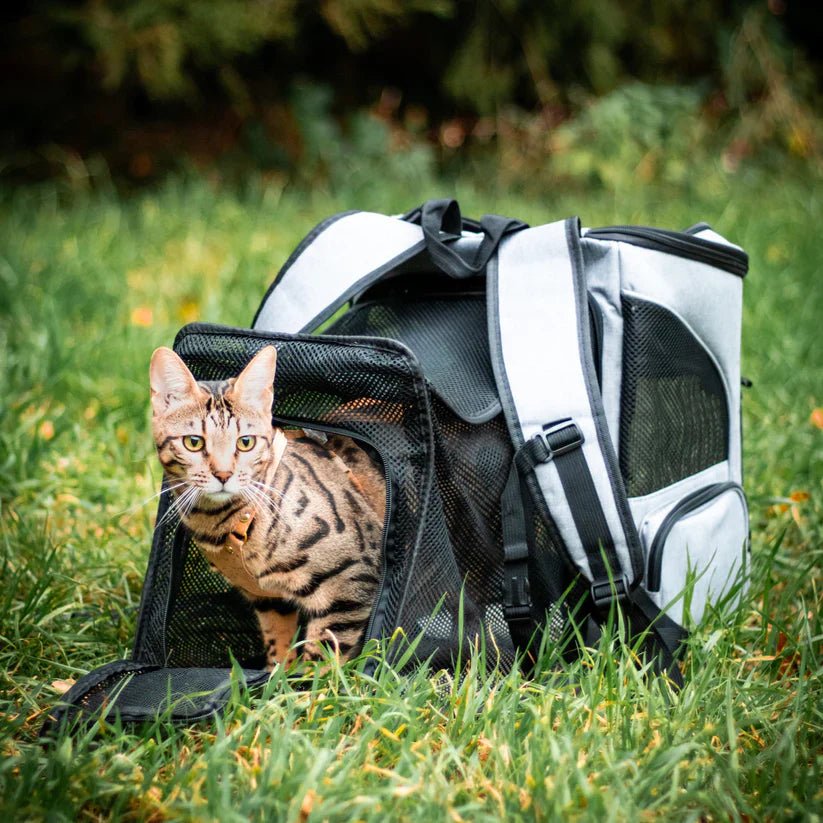Cozy Cat Backpack with Transparent Viewing Window