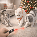 2-in-1 Mini LED Laser Pointer and Flashlight Pet Toy