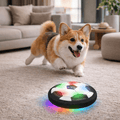 Engaging Play Ball for Dogs with Random Movements