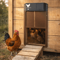 Automatic Chicken Coop Door with Light Sensor and Weather Resistance