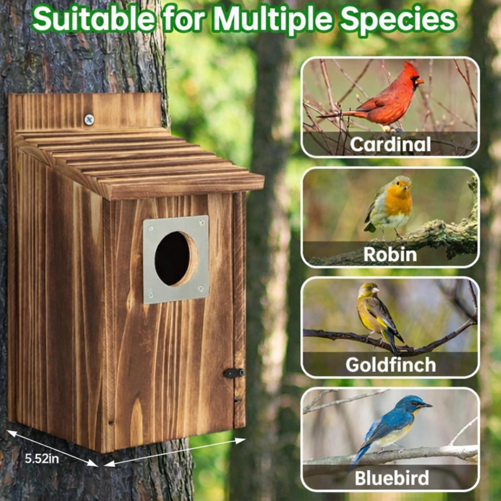 Wooden Nesting House for Blue Jays, Swallows, and Small Birds