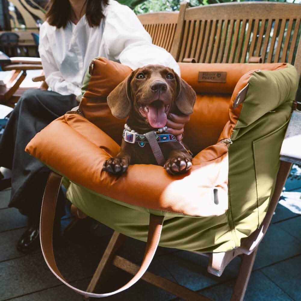 Premium Dog Car Seat with Safety Belt for Chic Travel