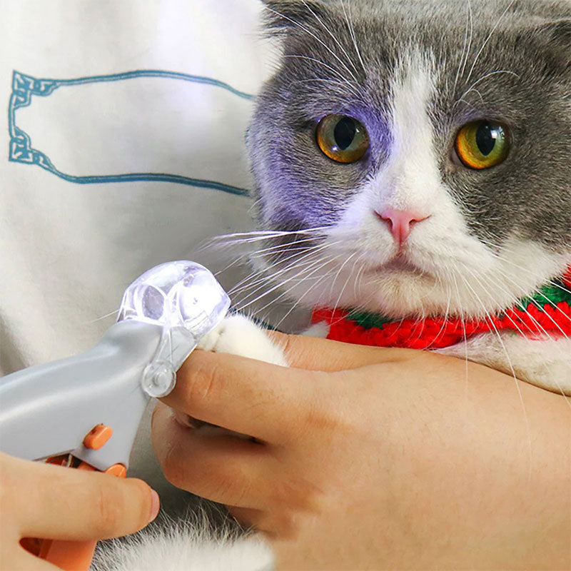Intelligent Quick-Sensing Nail Clippers for Pets