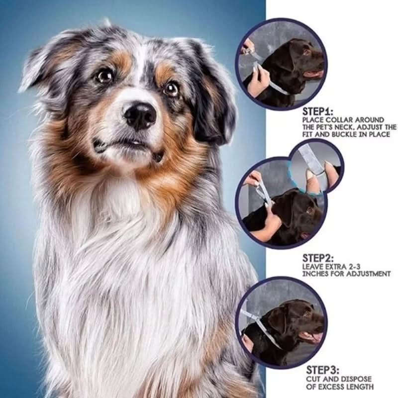 Flea and Tick Prevention Collar