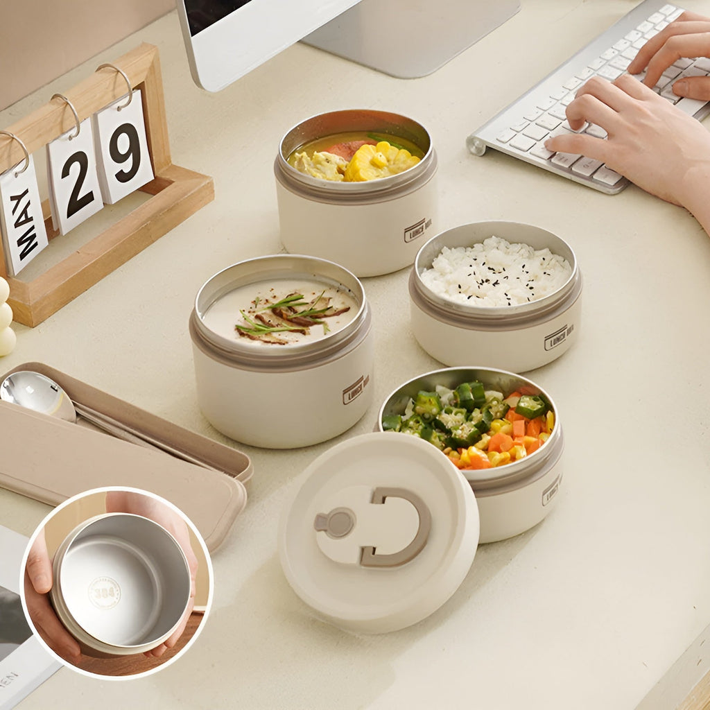 Insulated Lunch Box with Multiple Compartments & Leak-Proof Design | Includes Carry Bag