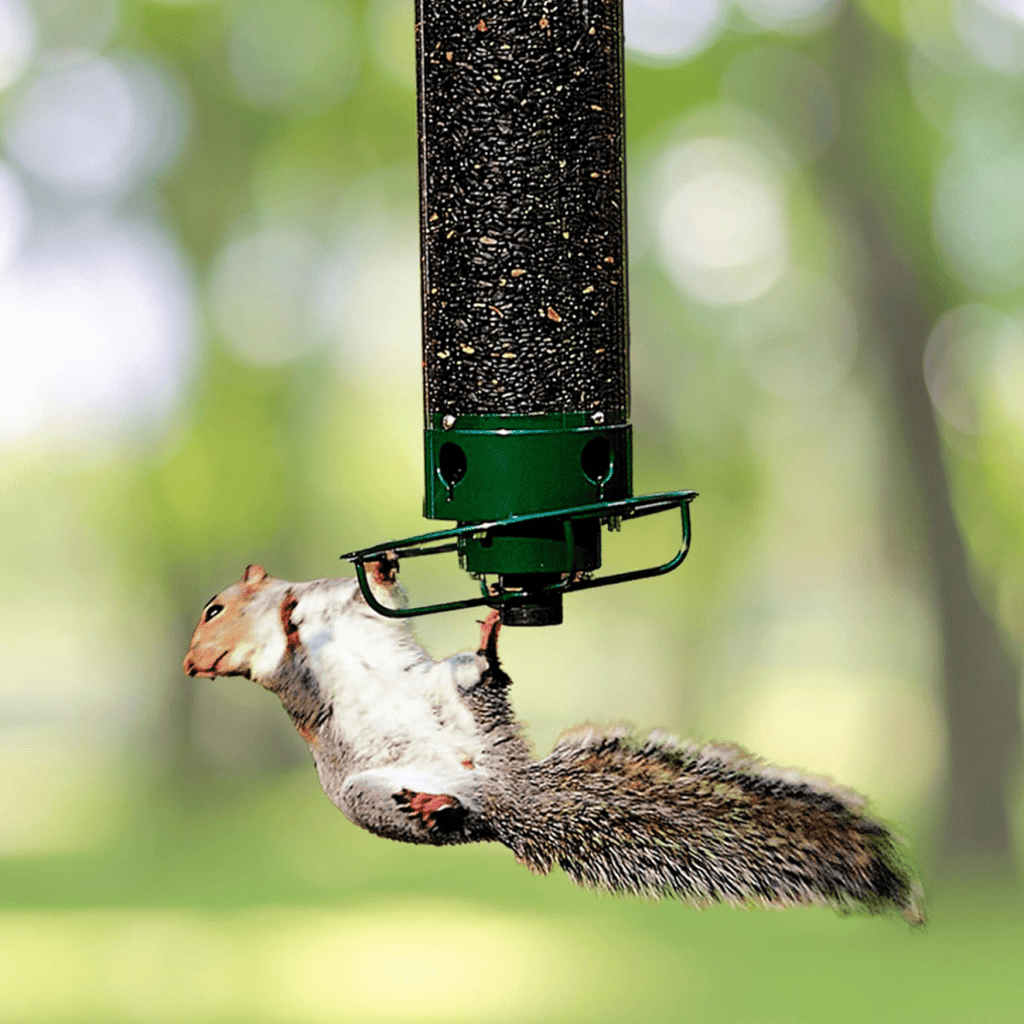Squirrel-Resistant Birdhouse with Rotating Perch and Four Feeding Openings