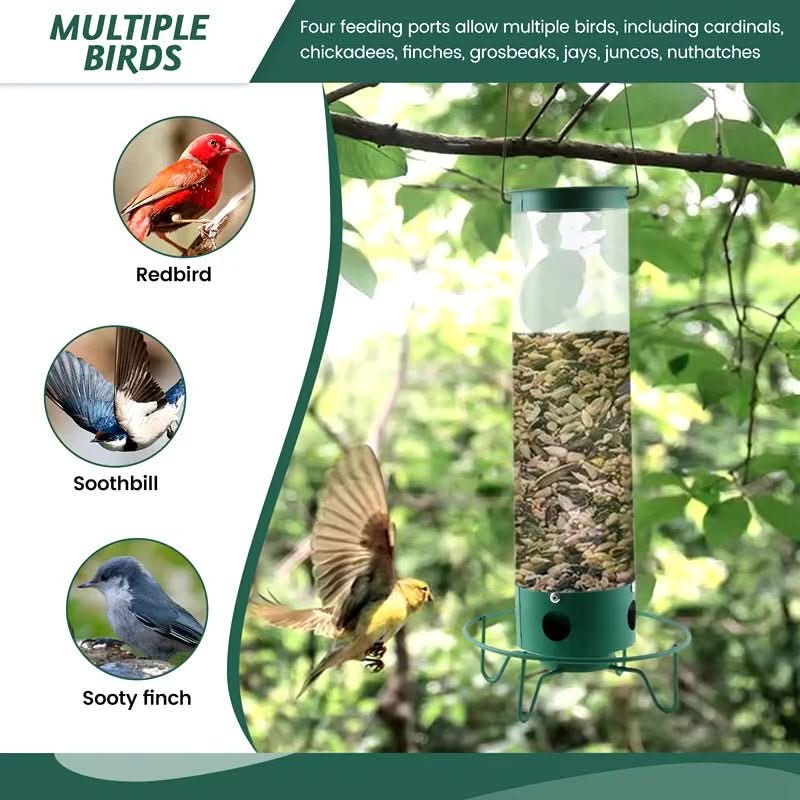Squirrel-Resistant Birdhouse with Rotating Perch and Four Feeding Openings