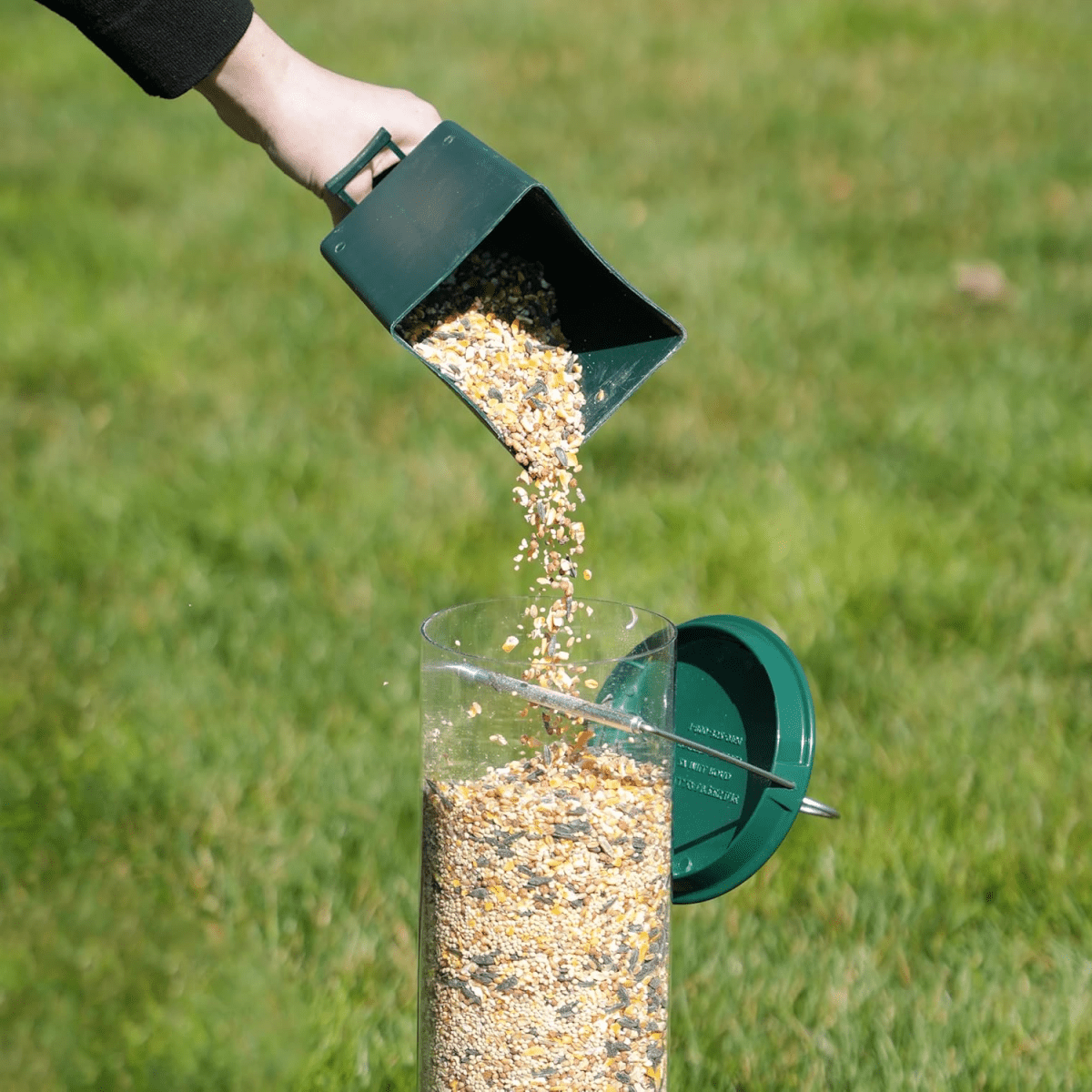 Squirrel-Resistant Birdhouse with Rotating Perch and Four Feeding Openings