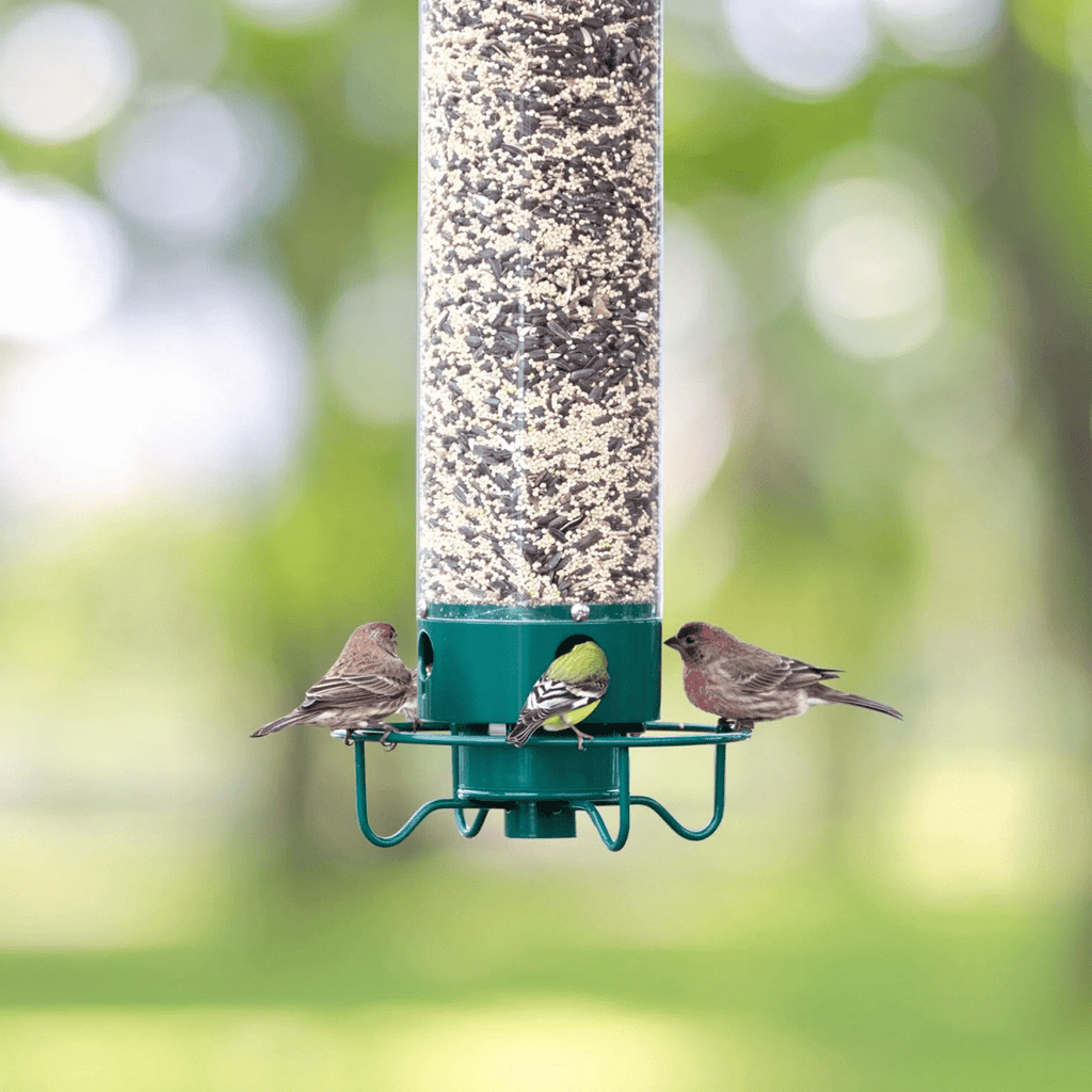 Squirrel-Resistant Birdhouse with Rotating Perch and Four Feeding Openings
