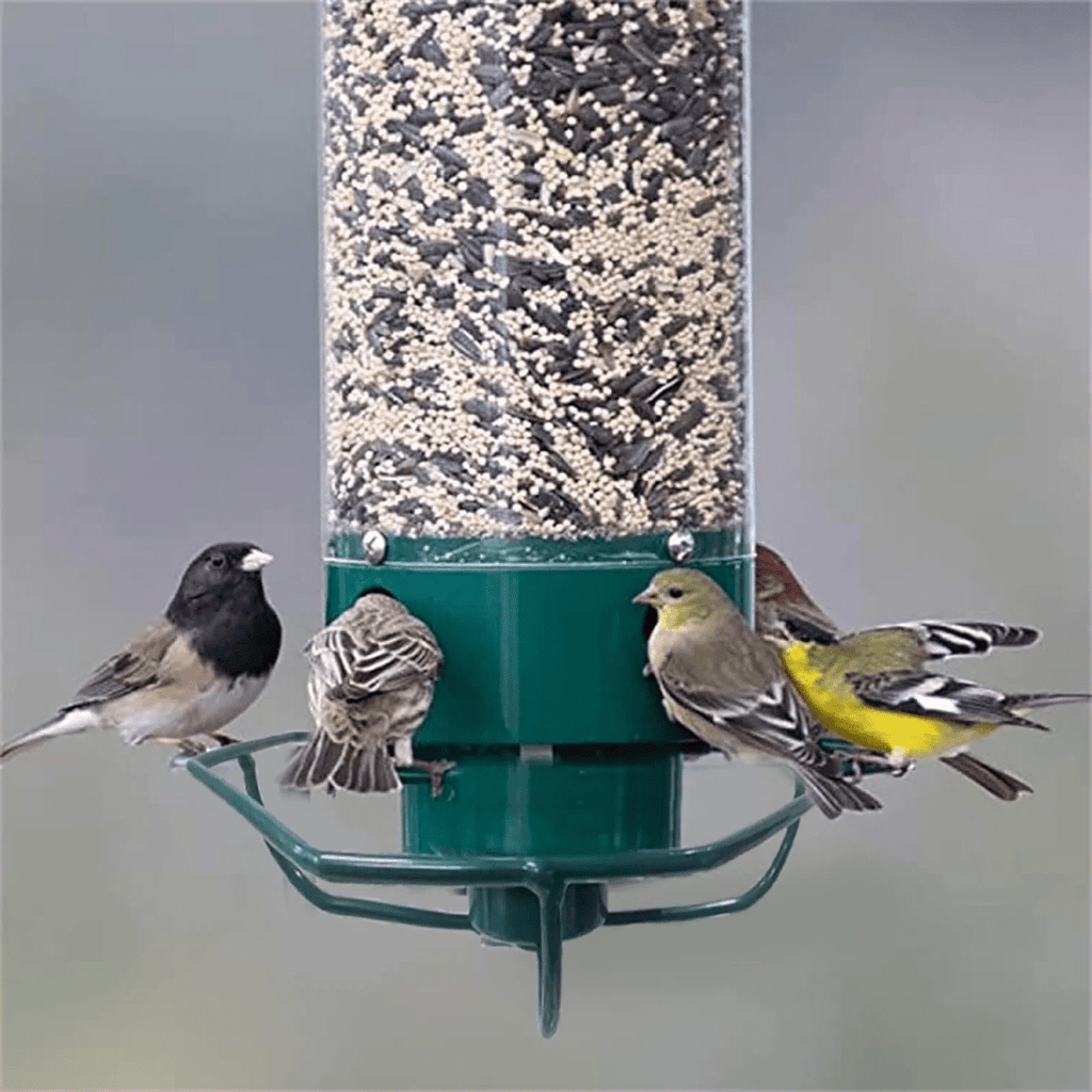 Squirrel-Resistant Birdhouse with Rotating Perch and Four Feeding Openings