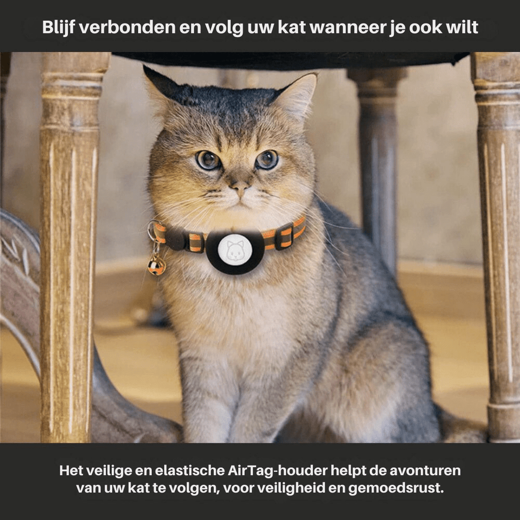 Cat Safety and Visibility GPS Tracker Collar
