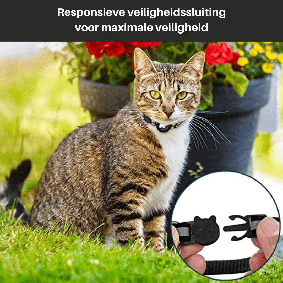 Cat Safety and Visibility GPS Tracker Collar