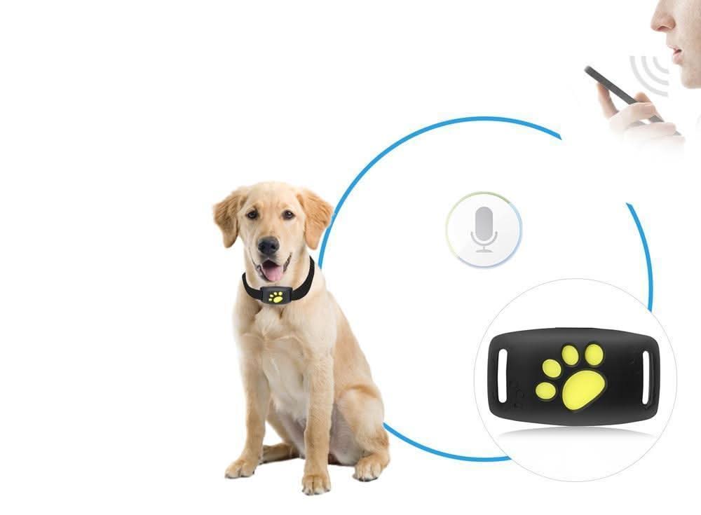 Real-Time GPS Cat Tracker – No Subscription Required