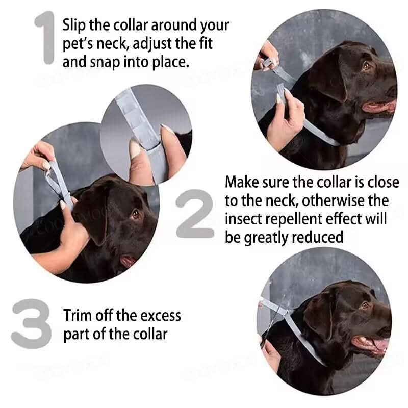 Flea and Tick Prevention Collar