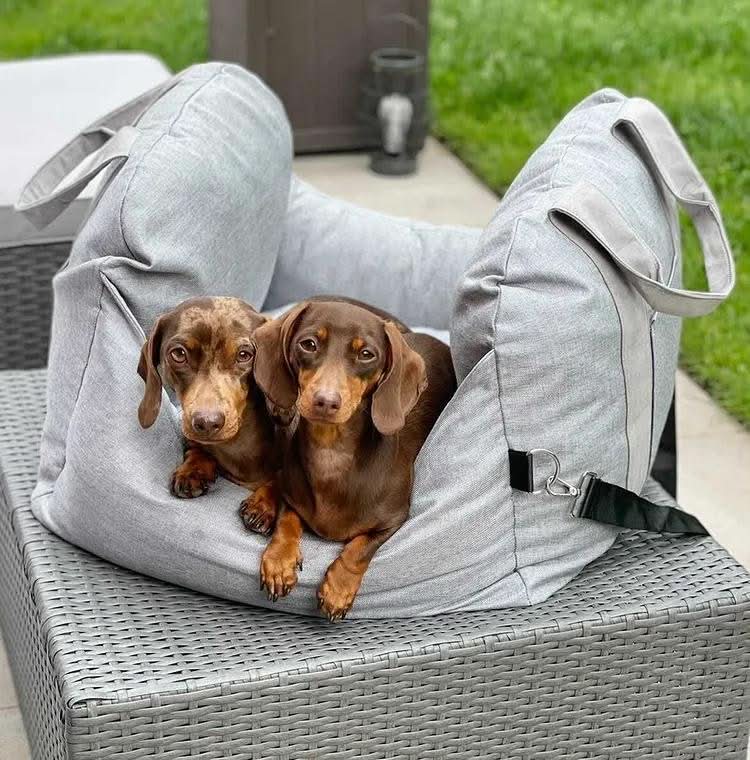 Pet Car Seat Bed with Safety Belt and Non-Slip Base for Comfortable Travel
